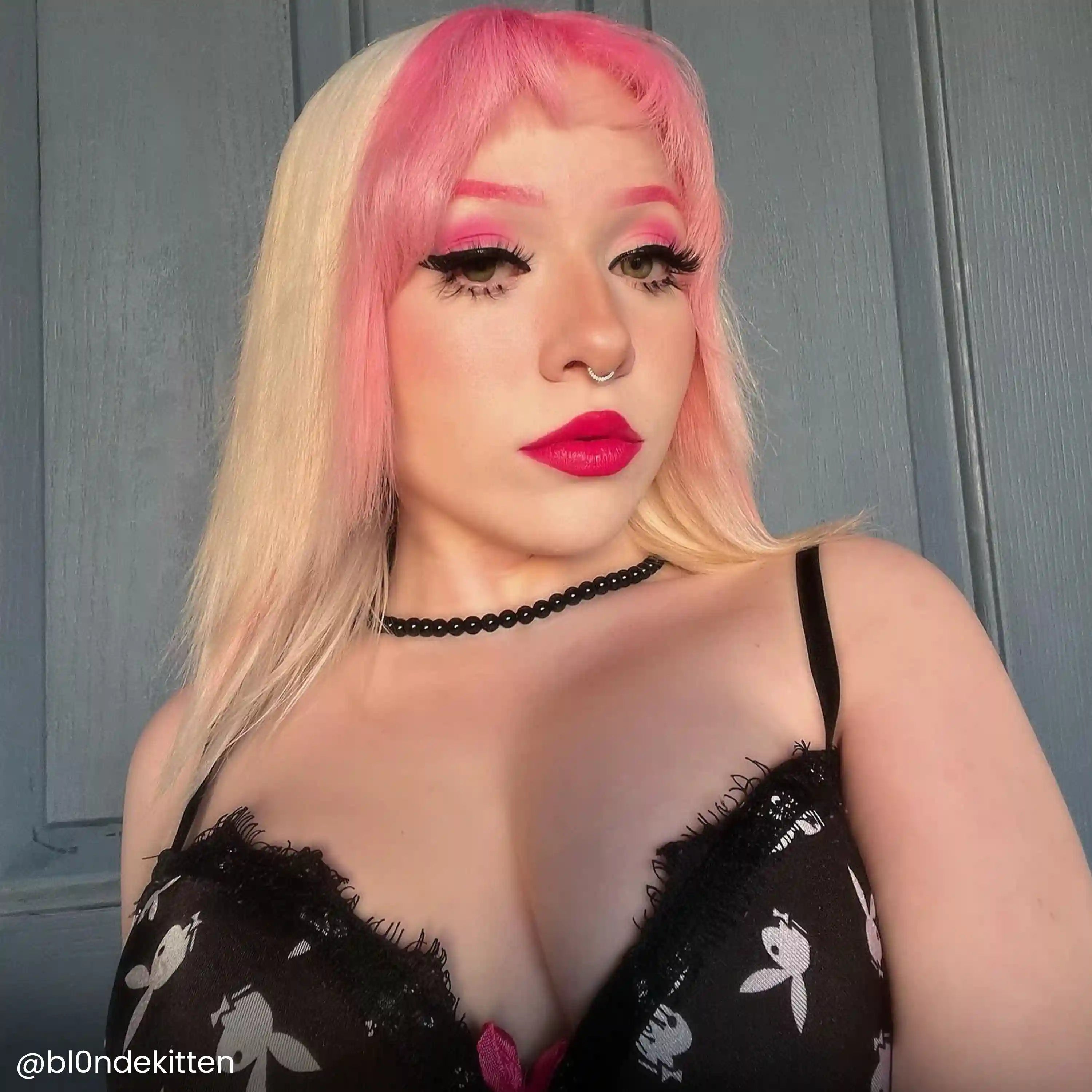 arcticfoxdye.us.com