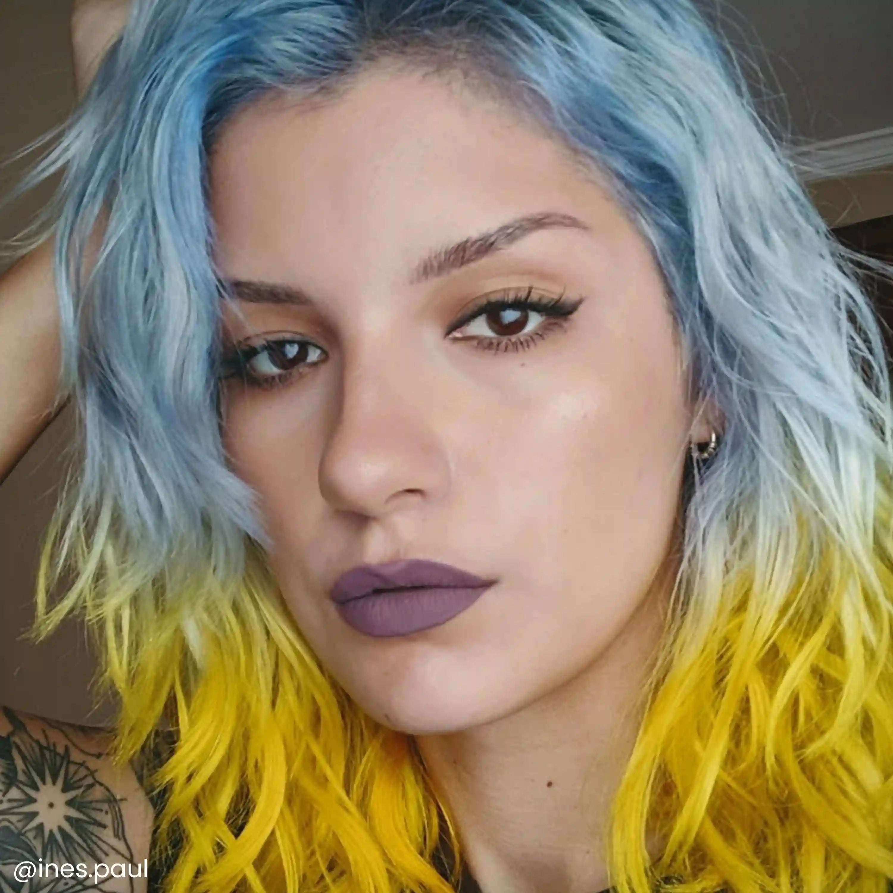 arcticfoxdye.us.com
