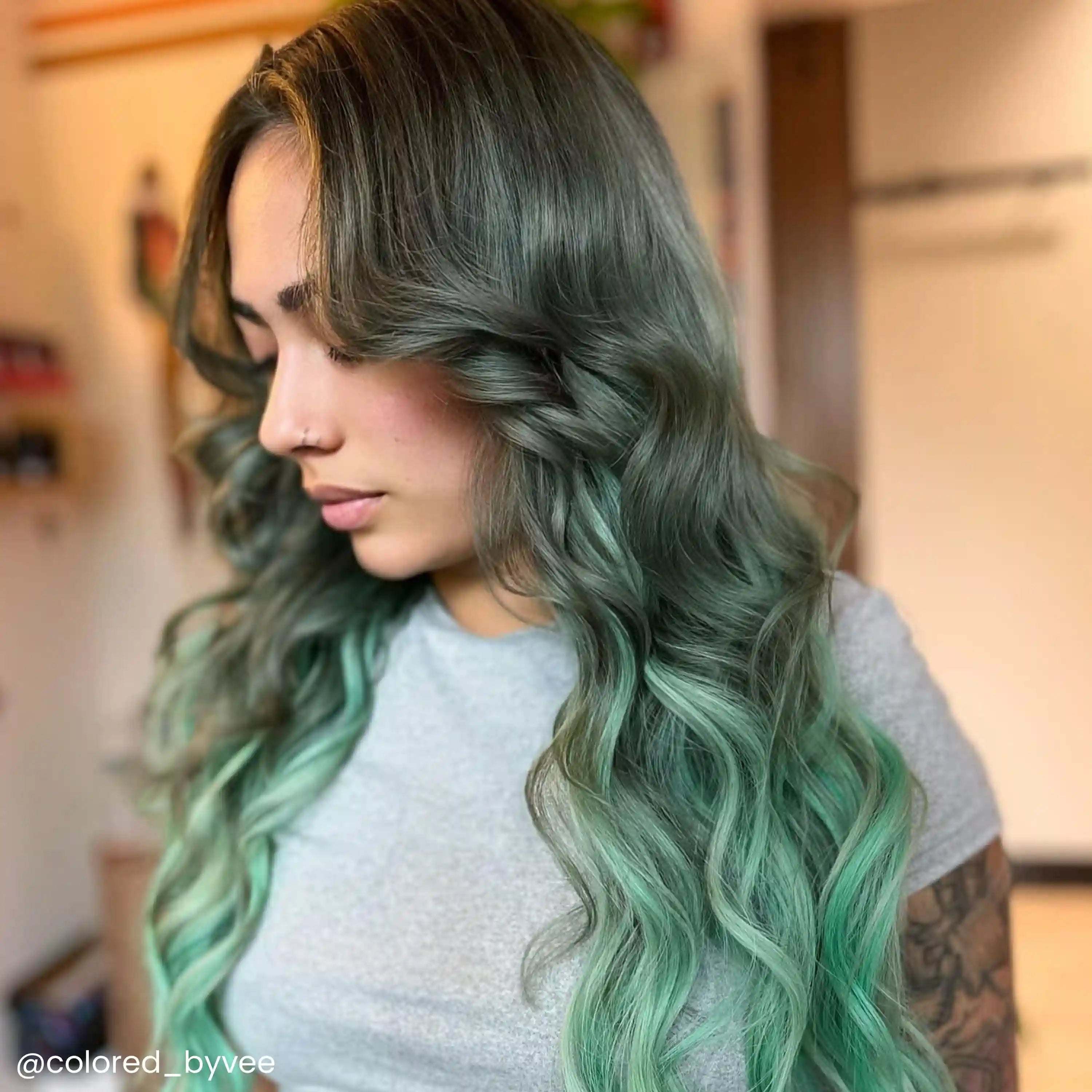 arcticfoxdye.us.com