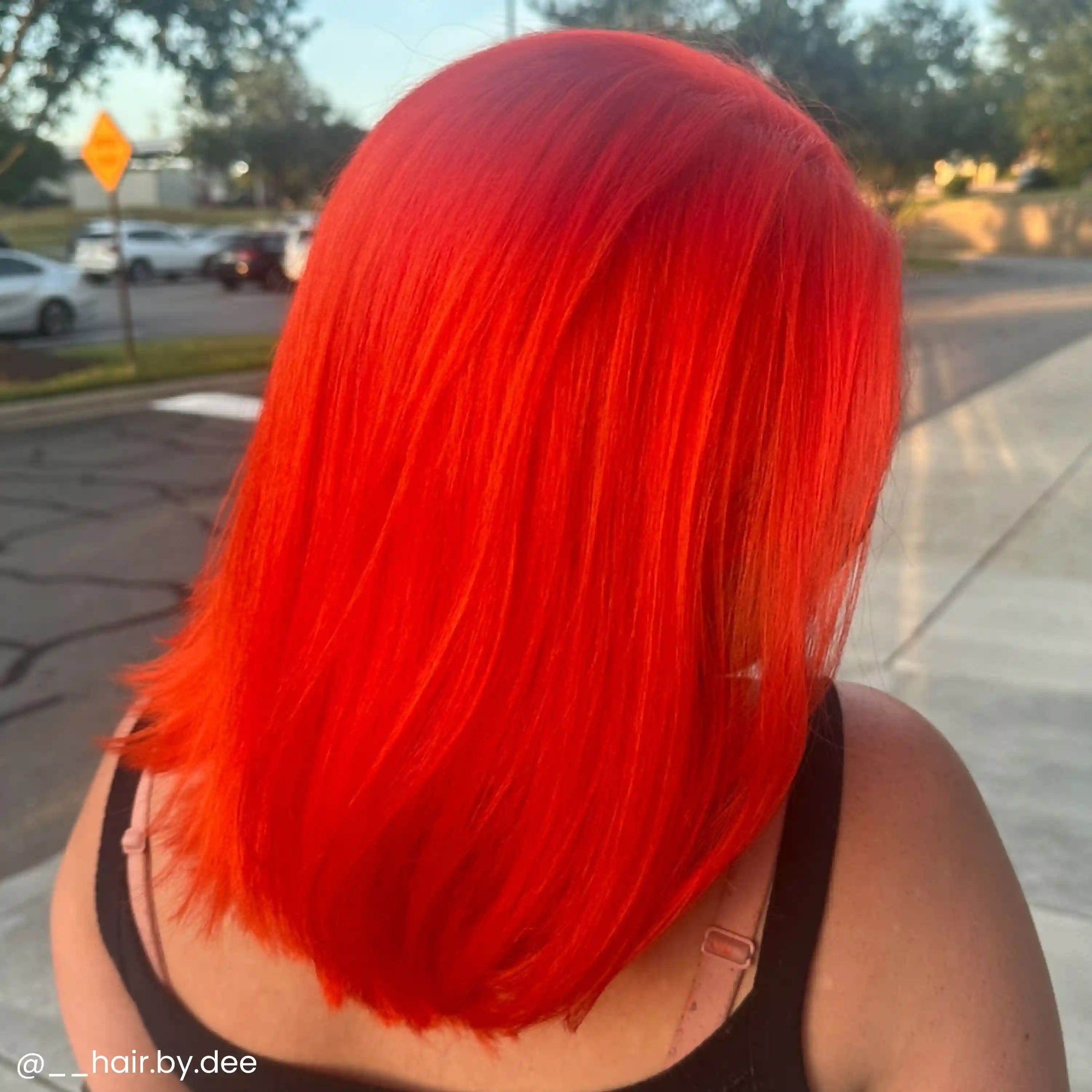 arcticfoxdye.us.com
