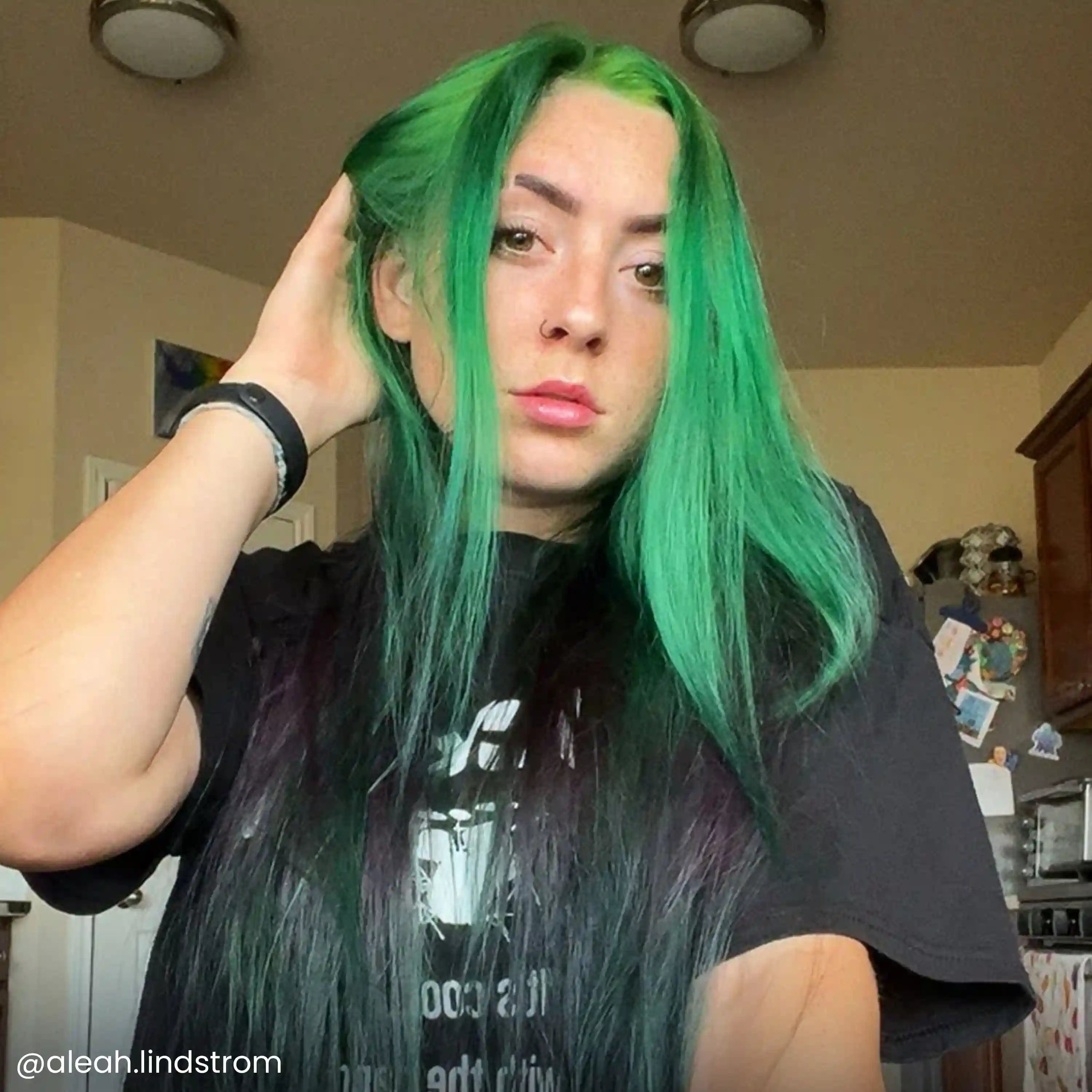 arcticfoxdye.us.com