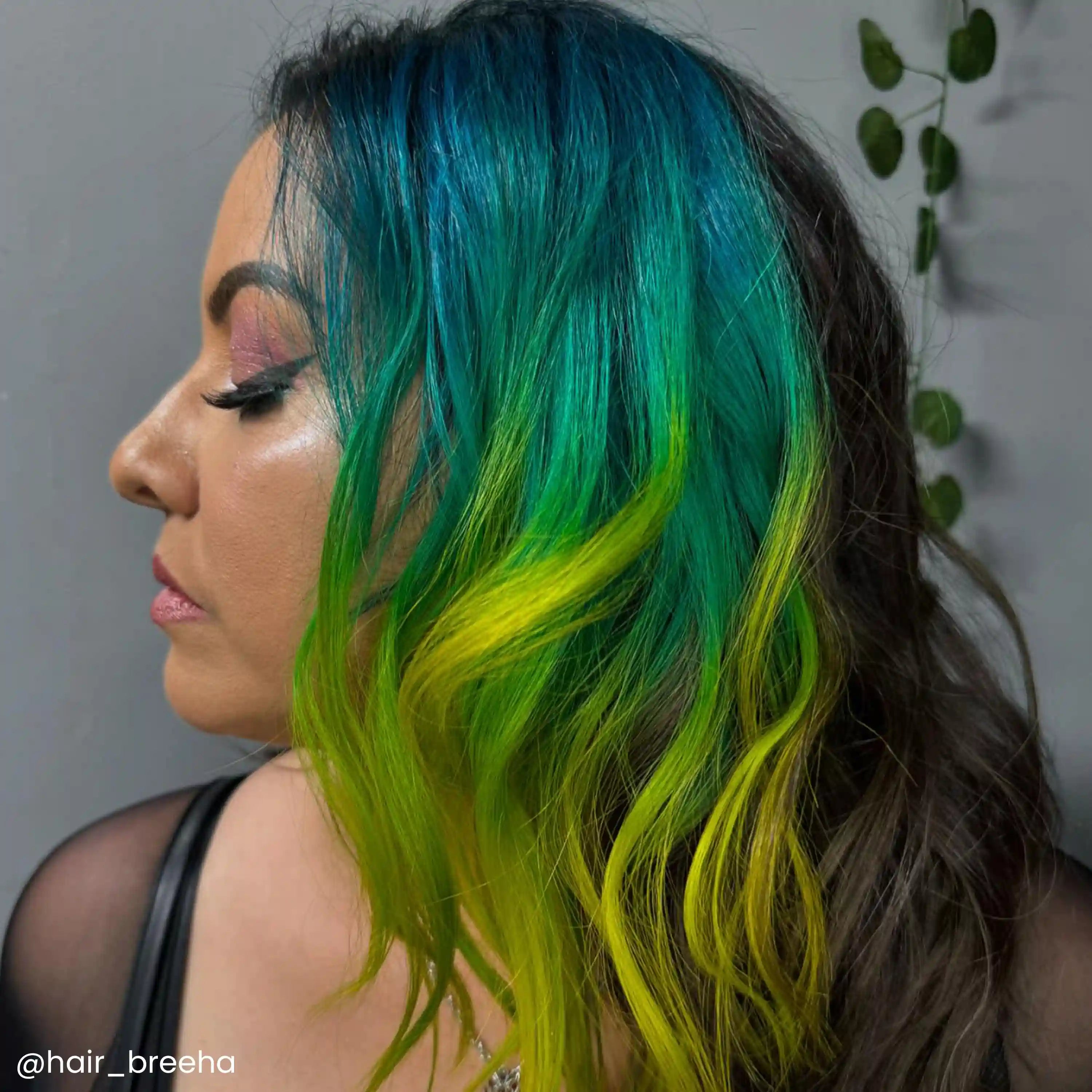 arcticfoxdye.us.com